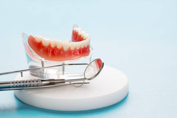 Best Cosmetic Dentistry  in Wakarusa, IN